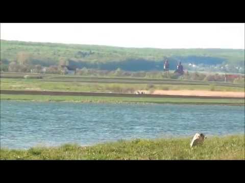 Iazul de la Lipoveni de langa Suceava