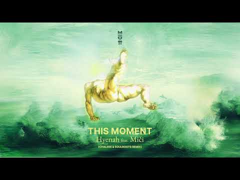 Hyenah feat. Miči - This Moment (Chaleee & Soulroots Remix) MIDH 107