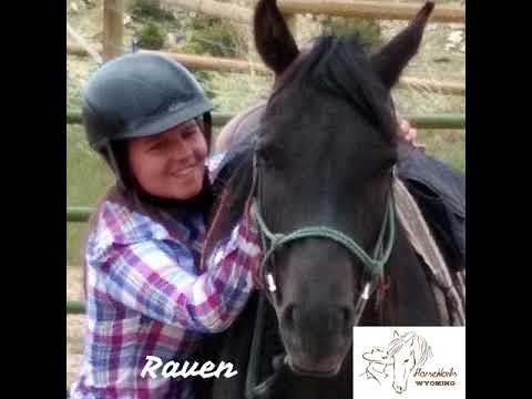 Obsidian is expecting!