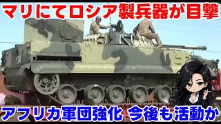 【ウクライナ情勢】露「ロシアはマリから撤退しないぞ！でも逃げるぞ！」【ゆっくり解説】