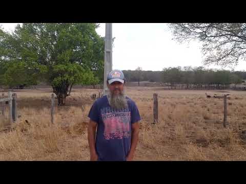 Liderança Comunitária recorre a Luan do Povo e consegue energia elétrica para comunidade