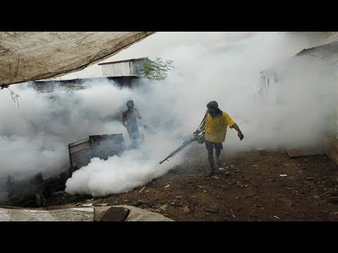 মশা নিধনে সর্বশক্তি নিয়োগ করা হবে