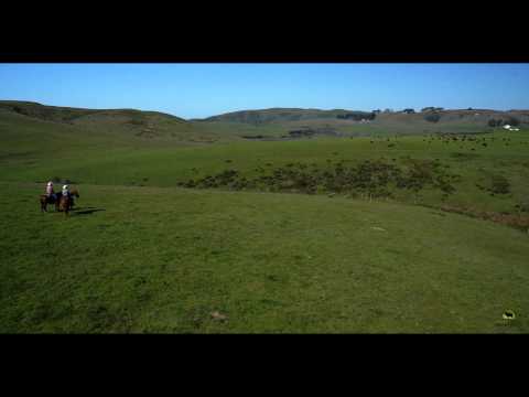 Estero Americano Ranch