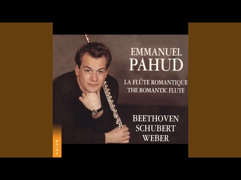 Sonata for Arpeggione and Piano in A Minor, D. 821: II. Adagio