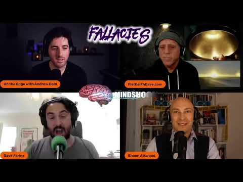 Earth Dave vs Professor Dave Debate - A Logical Analysis (BRUCE MCGUIRE PODCAST)