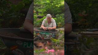He Turned This Horse Paddock to a Plant Paradise: O’Brien Nursey