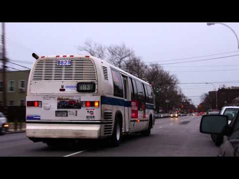 B83 Bus