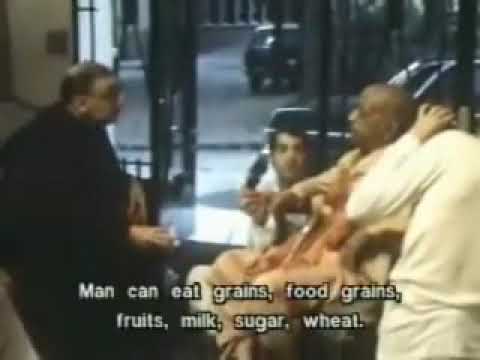 Srila Prabhupada conversating with Cardinal Danielou about meat eating