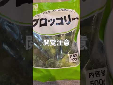 果物や野菜を冷凍して健康的でお金を節約する方法