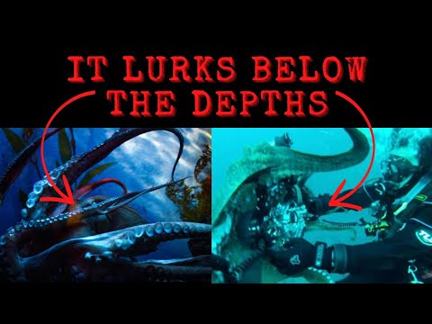 Cave Diving - Divers Worst Nightmare, The Lusca.