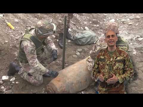 Rapporto Esercito 2024