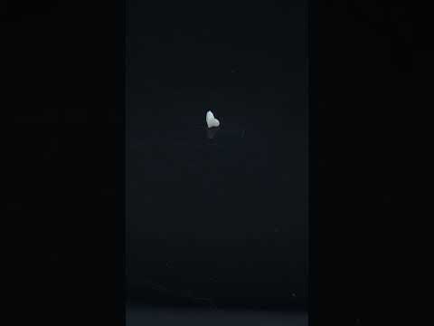 YouTube 썸네일