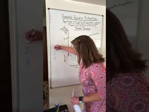 Econ 240 renewable resource extraction