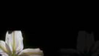 Vyvienne Long - Blue Carousel