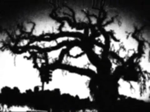 Video thumbnail for Petrified Life and the Twice Told Joke (Decrepit Bricks)