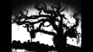 Petrified Life (long version) - Gym Class Heroes