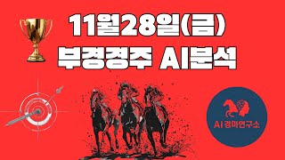 11월28일 금요일 부산경남 경마 분석 및 예측