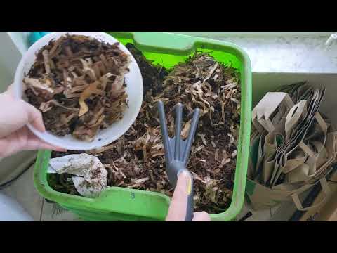 Hot Frog Living Composter Day 01 - New Start + UWB Feeding - Vermicomposting