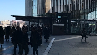 apex 30ハンマー