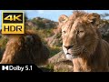 Trailer 3 Mufasa 4K HDR IMAX 5 0 4K 10bit Surround