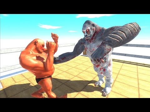 Boxing with HILL GIANT in Boxing Ring - Animal Revolt Battle Simulator