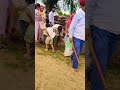 Rajasthani Songs Shorts Video Marwari Song Marwari Geet