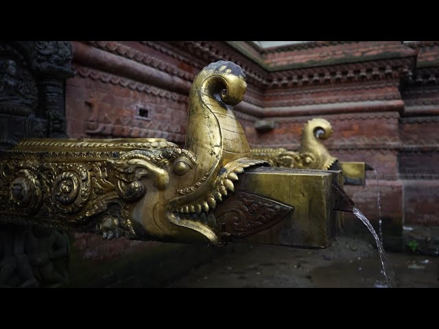 Walkabout with Anil: Hiti