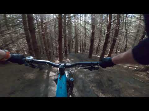 4K MTB off piste Clown shoes - Hamsterley 10/07/20