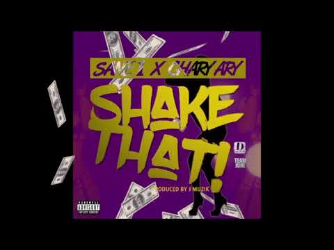 DJ June ft. Sane1 x Chary Ary - Shake That