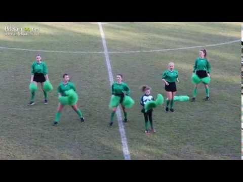 Navijaška skupina Tikvice