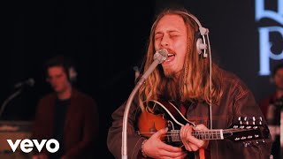 Liam Pek - Daffodil video