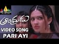 Andhrudu Video Songs | Pari Ayi Video Song | Gopichand, Gowri Pandit | Sri Balaji Video
