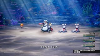 ドラゴンクエストI＆II　トドサマガエル戦