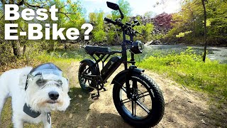 Is This The Best Off Road Electric Bike? TST R002 E Bike - Build and Review