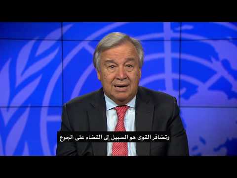 الامم المتحدة..نيويورك : شاهد فيديو.. يوم الغذاء العالمي...850 مليون جائع في عالم من الوفرة!!