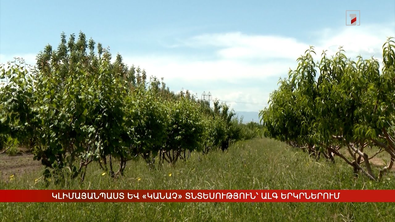 Կլիմայանպաստ և «կանաչ» տնտեսություն՝ ԱլԳ երկրներում