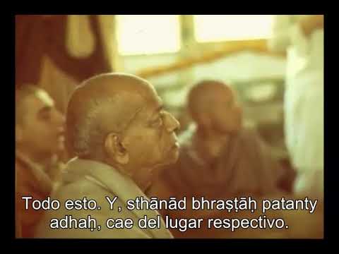 Prabhupada 0694 Puesto otra vez en que la actitud de servicio  Esa es la cura perfecta