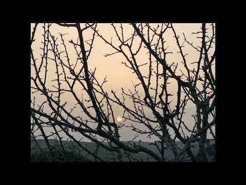 PMZ WINTER WARMERS - Musical Misfits - Oh How Lovely / Now the Sun is Rising Up