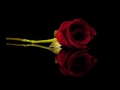SKYY REAL LOVE