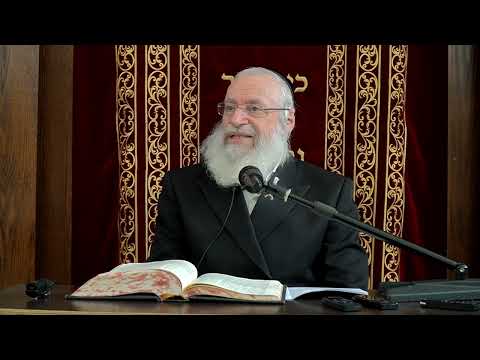 The Jewish Way to Wage War | Shiur By Rav Asher Weiss Shlit"a