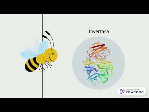 LA QUÍMICA DE LA MEL DE LES ABELLES