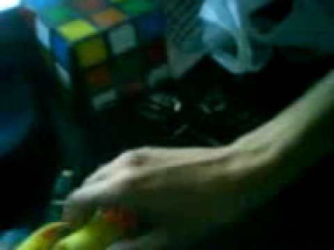 Rinha de Galo: Mesquita vs Match