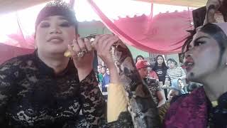 Download lagu Ambu niknok show ratu amelia sanca mustika bambung hideung ATRAKSI ULAR cikambuy lastri dan iwan mp3