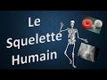 SQUELETTE HUMAIN - Explique-MOI
