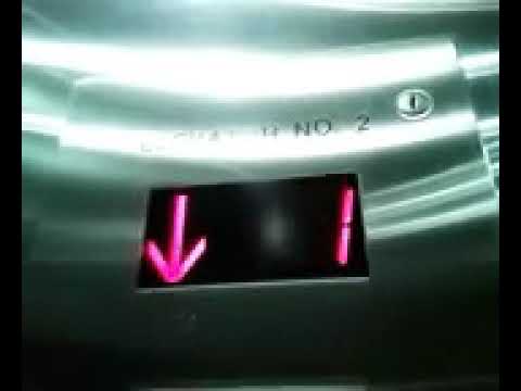 Brutal elevator door squeaking!