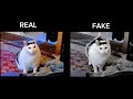 Cat "HUH" REAL vs FAKE - RANDOM MEME part 32 #memes #meme