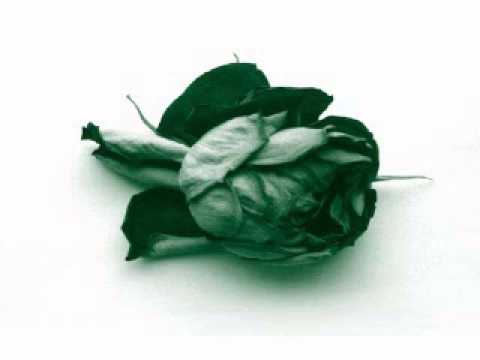 Télépopmusik ‎-- Love Can Damage Your Health (Abicah Soul & Dennis Ferrer Remix)