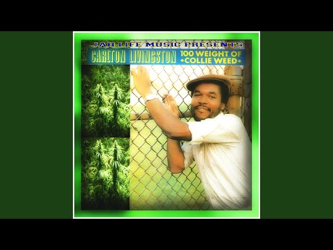 Call of the Rasta Man