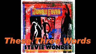 Stevie Wonder   These Three Words instrumental) flv   YouTube