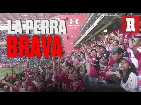"Así se vive el ambiente de la barra del Toluca (La Perra Brava) | RÃ‰CORD" Barra: La Perra Brava &bull; Club: Toluca